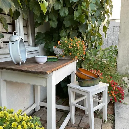 Bela Villa Negotin