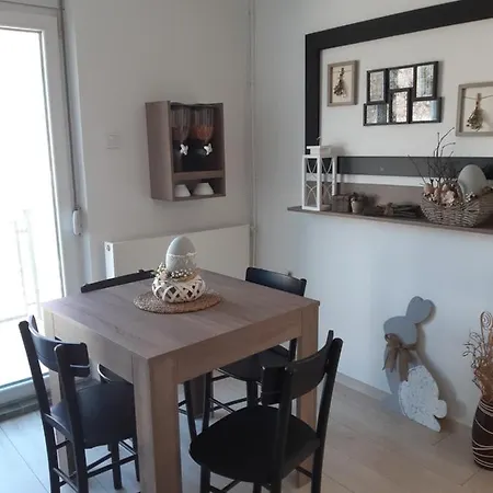 Villa Bela Negotin